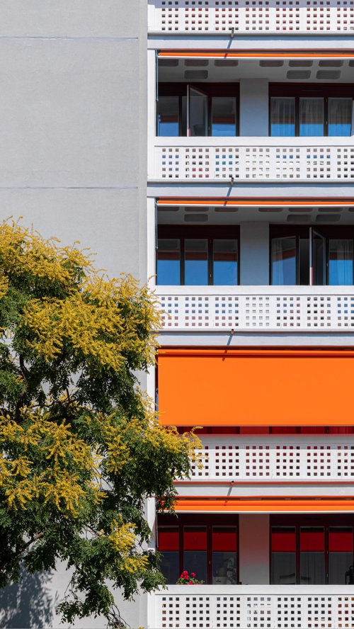 Transformation de CCHE pour la fin des travaux de rénovation de la cité Carl-Vogt à Genève Suisse