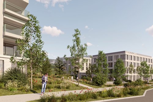 Actualité de CCHE pour le Quartier Plantassage à Sierre Suisse