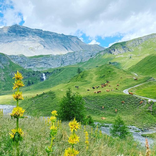 Portrait de CCHE Frédéric Ducrest Architecte associé Suisse