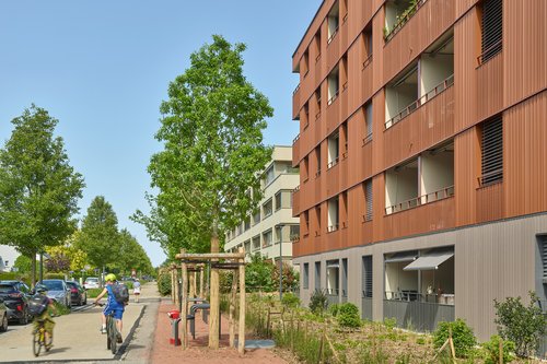 Architecture de CCHE pour le Quartier de la Suettaz à Nyon Suisse