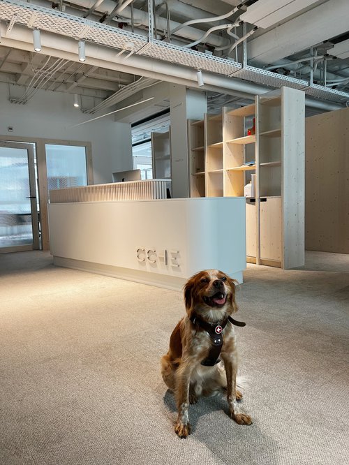 CCHE Nouveau bureau de notre filiale CCHE Genève Suisse