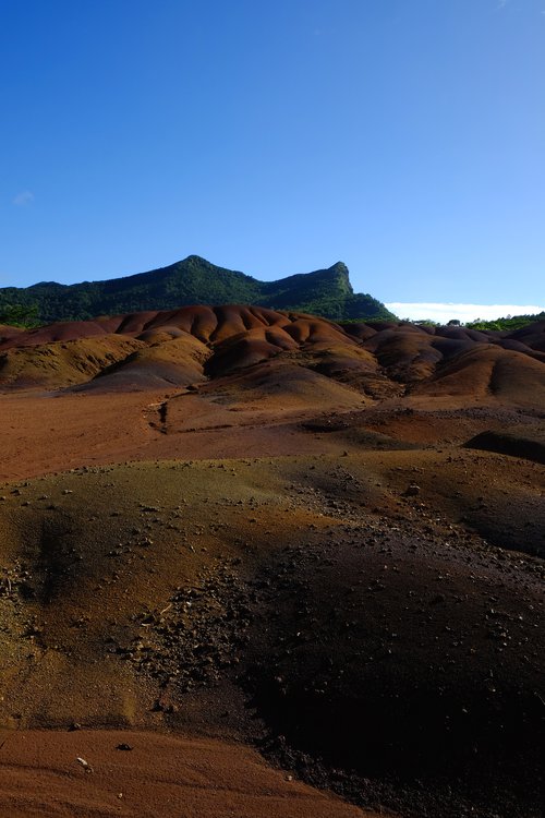 Portrait de CCHE Marco Cennini Architecte associé Suisse