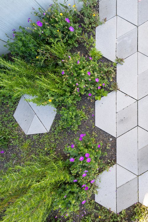 Architecture et Réalisation de CCHE pour le Quartier résidentiel à Bussigny Côté Gare Suisse