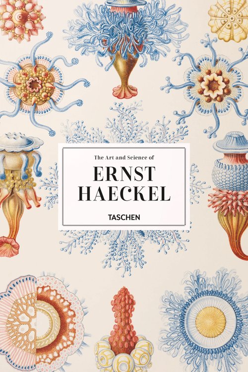 Architecture de CCHE pour le module flottant MEA