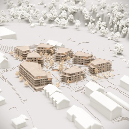 Architecture de CCHE pour Common Ground Moudon Suisse