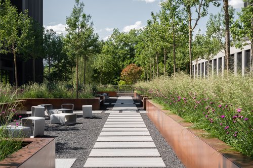 Architecture et réalisation de CCHE du bâtiment administratif The Hive 8  Suisse