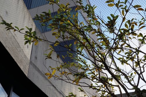 Actualité de CCHE pour l'Aménagement paysager du bâtiment administratif Grand'Rive Parc Suisse