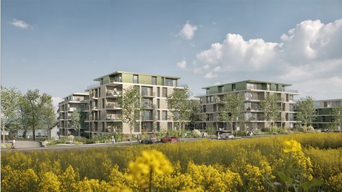 Architecture de CCHE pour Quartier résidentiel Reussperlen Suisse