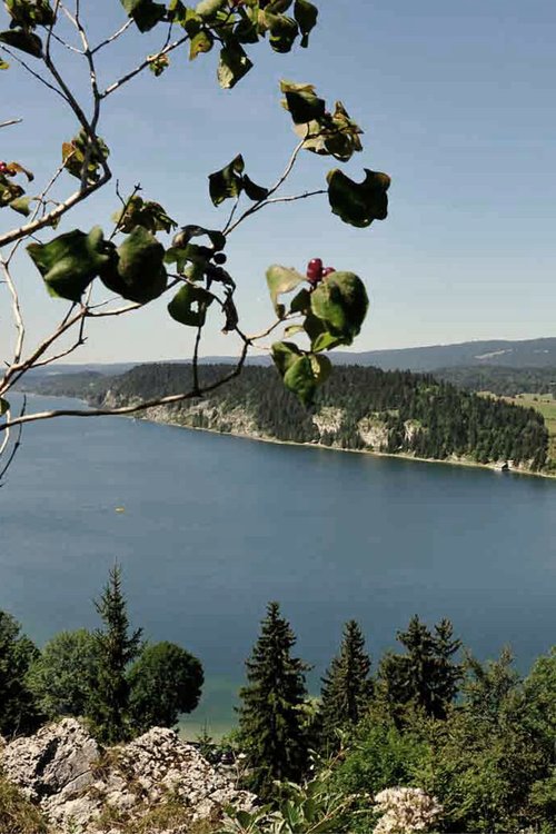 Architecture de CCHE pour le Manoir Hauteroche Suisse