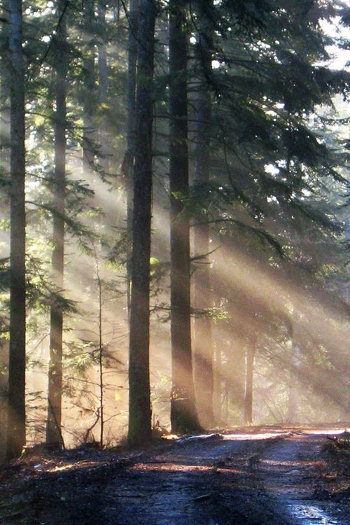 Architecture de CCHE pour le Manoir Hauteroche Suisse