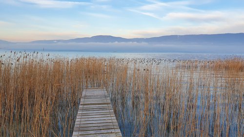 Portrait de CCHE Daniel Grosso Architecte associé Suisse