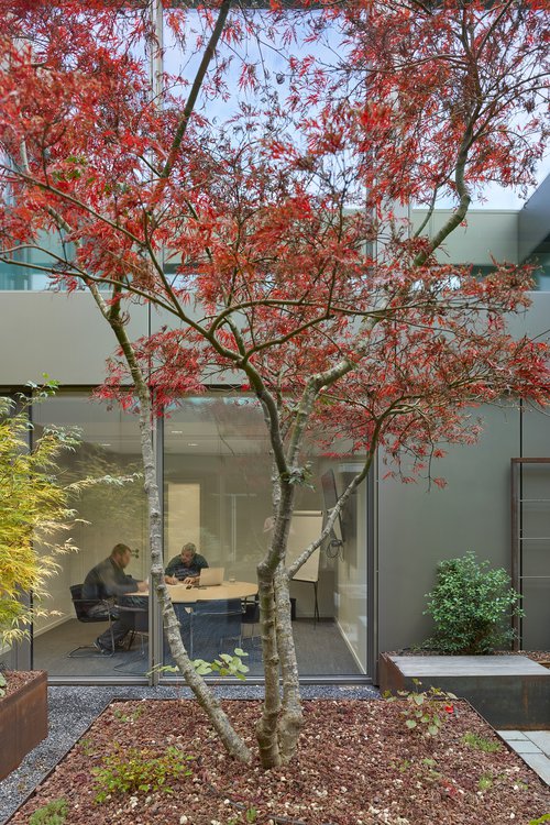 Portrait de CCHE Cornélia Volkringer Architecte associée Genève