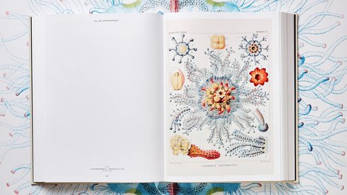 Architecture de CCHE pour le module flottant MEA