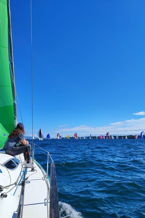 Actualité de CCHE pour la CCHE Sailing team 2024