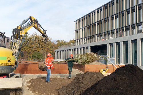 Architecture en chantier de CCHE pour The Hive 8 Suisse