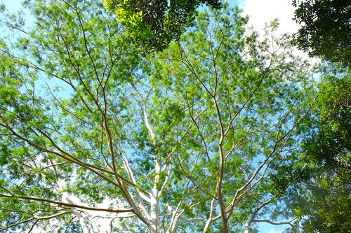 Portrait de CCHE Marco Cennini Architecte associé Suisse