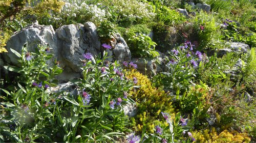 Architecture du paysage de CCHE pour l'immeuble d'habitation La Begnaule à Begnins Suisse