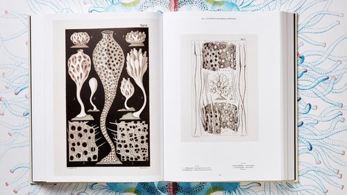 Architecture de CCHE pour le module flottant MEA