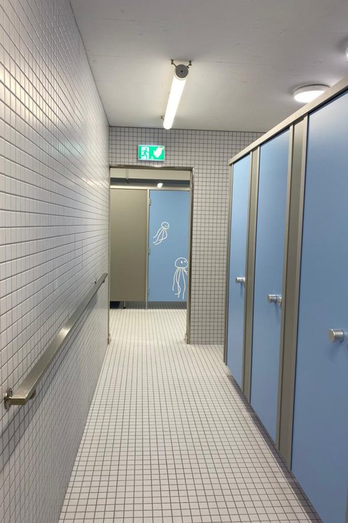 Actualité de CCHE pour l'inauguration de la piscine de Marly