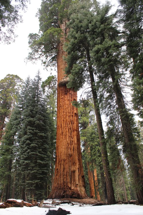 Portrait de CCHE Michael Pereira Architecte associé Portugal