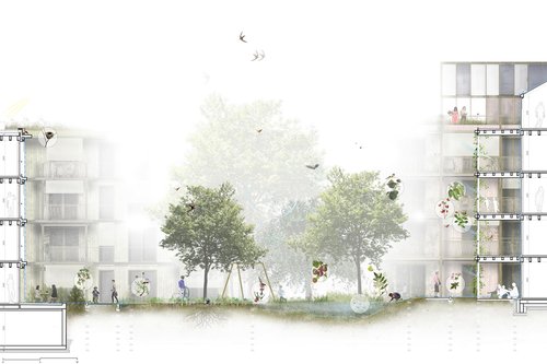 Architecture du paysage "Favoriser la biodiversité" Suisse