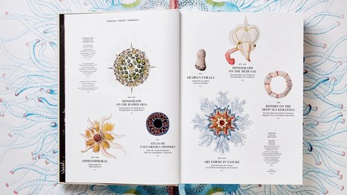 Architecture de CCHE pour le module flottant MEA