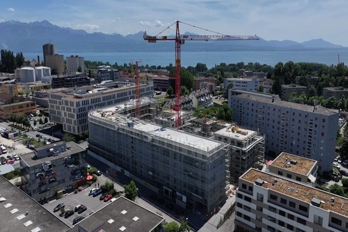 Actualité de CCHE pour Q11-"Les chênes de Renens"