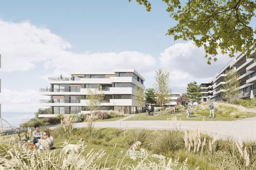 Architecture de CCHE pour le concours Beauregard Suisse