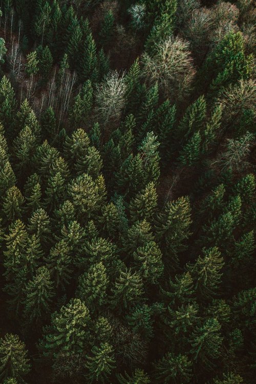 © picturesmania.com Architecture de CCHE pour le Manoir Hauteroche Suisse