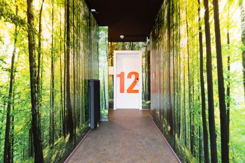 © Definitly Different Hotel Group Transformation et réalisation de CCHE pour le Peanut lodge and winstub à Val d'Illiez Suisse