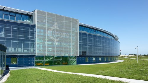 Identité visuelle de CCHE pour Celgene