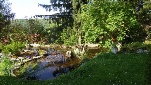 Architecture du paysage de CCHE pour l'immeuble d'habitation La Begnaule à Begnins Suisse