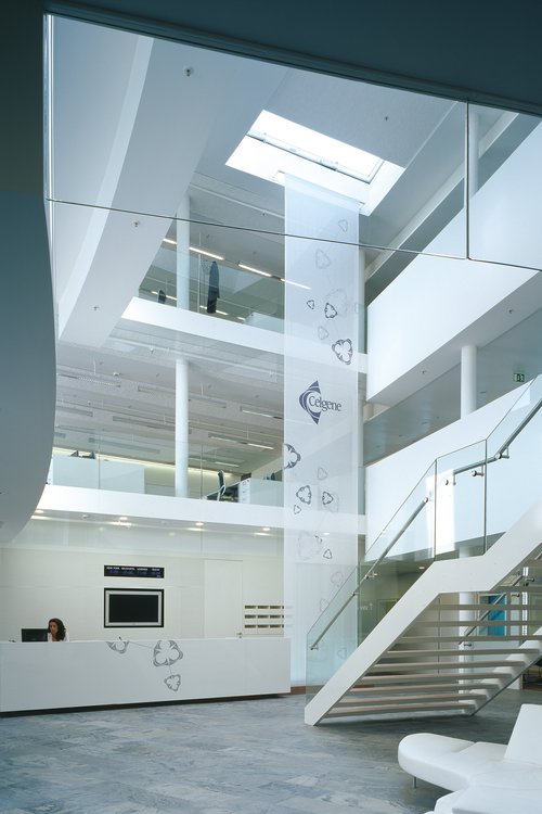 Identité visuelle de CCHE pour Celgene