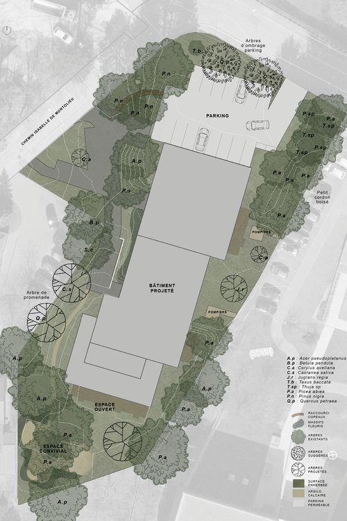 Architecture de CCHE pour le bâtiment Isabelle de Montolieu à Lausanne Suisse