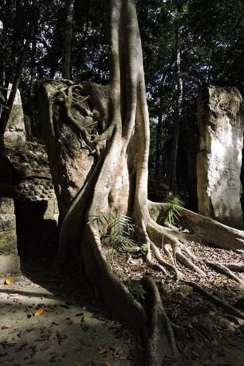 Portrait de CCHE Funda Kozanoglu Architecte associée Suisse