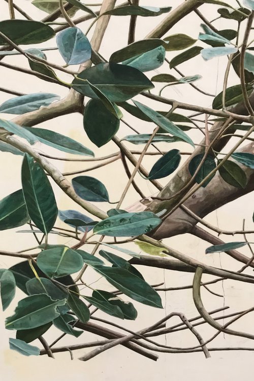 Portrait de CCHE Marc Fischer Architecte associé Suisse