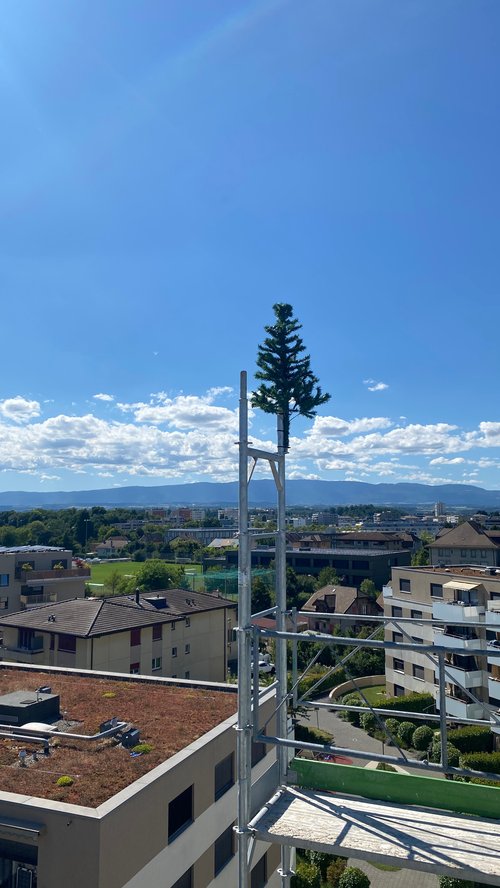 Actualité de CCHE pour Q11 - Les Chênes de Renens Suisse