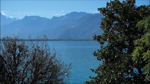 Actualité de CCHE pour la première pierre du 2m2c