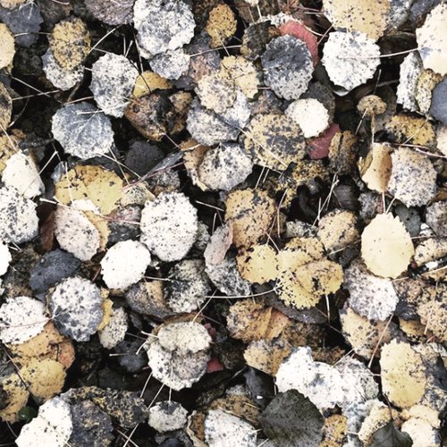 Inspiration texture de CCHE Suisse