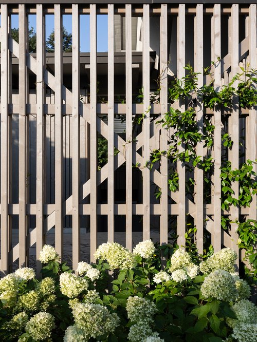 Architecture et réalisation de CCHE pour le projet Petit-Bois