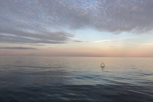 Portrait de CCHE Funda Kozanoglu Architecte associée Suisse