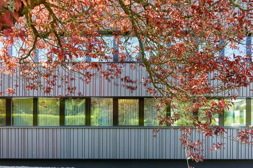 Portrait de CCHE Daniel Grosso Architecte associé Suisse