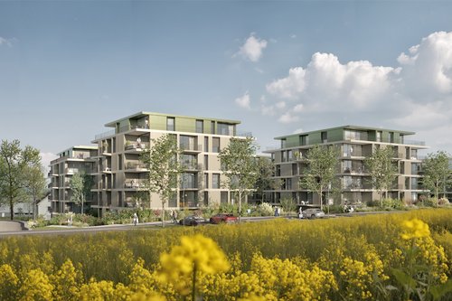 Architecture de CCHE pour Quartier résidentiel Reussperlen Suisse