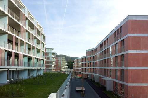 Portrait de Bruno Rossini Directeur Associé Perspectives Construction