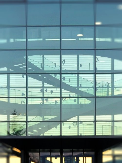 Décorations de CCHE pour le bâtiment administratif Celgene Suisse