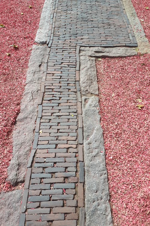 Portrait de CCHE Daniel Grosso Architecte associé Suisse