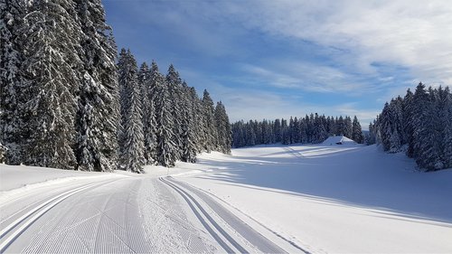 Portrait de CCHE Max Nack Architecte associé Suisse