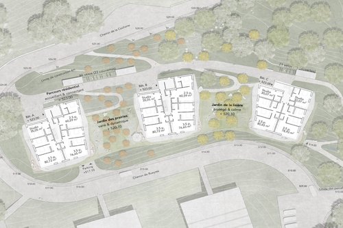 Architecture de CCHE pour Balcons de vignes à Belmont-sur-Lausanne Suisse