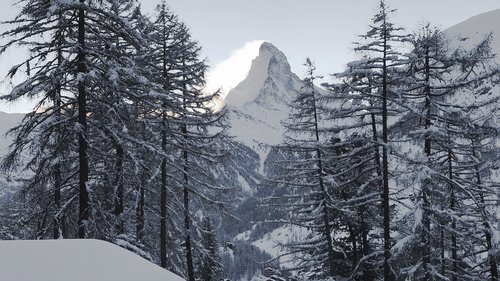 Portrait de CCHE Stéphanie Suard Dancet Architecte associée Suisse