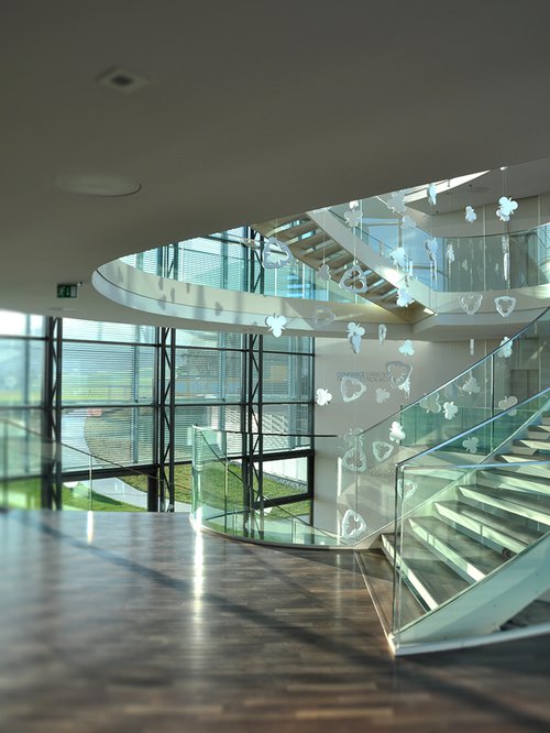 Décorations de CCHE pour le bâtiment administratif Celgene Suisse